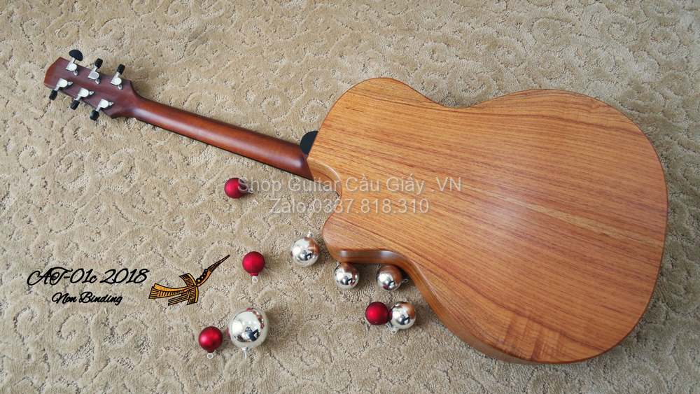 01 10 Thuan Guitar AT 01C Non binding wm