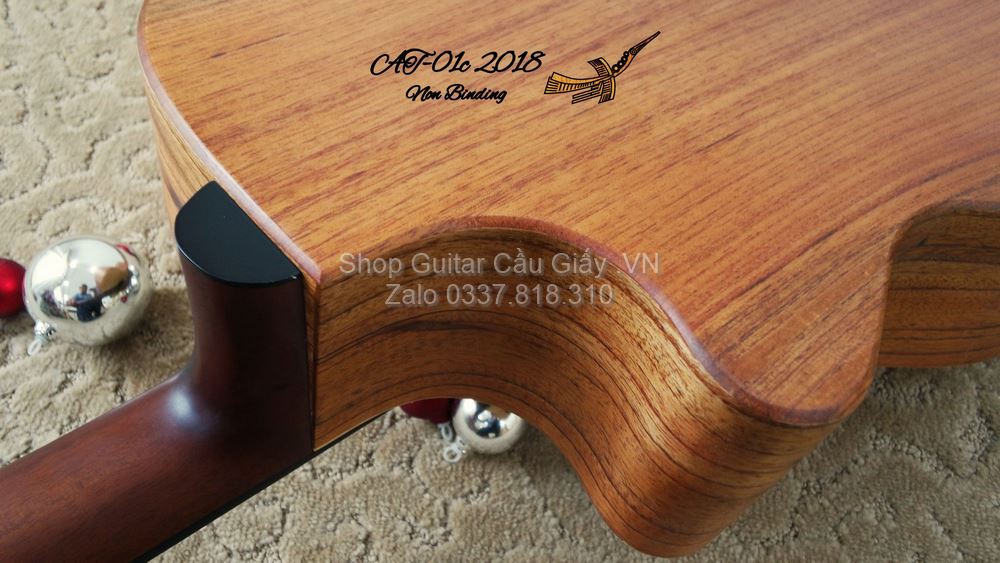 01 11 Thuan Guitar AT 01C Non binding wm