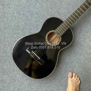 02 01 Dan Guitar Mini Tia Chop Viet DAM150 VB wm