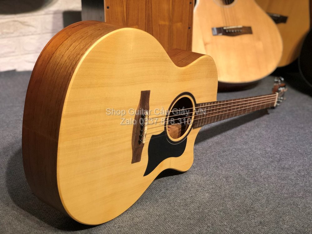 02 02 Thuan Guitar AT 01C wm