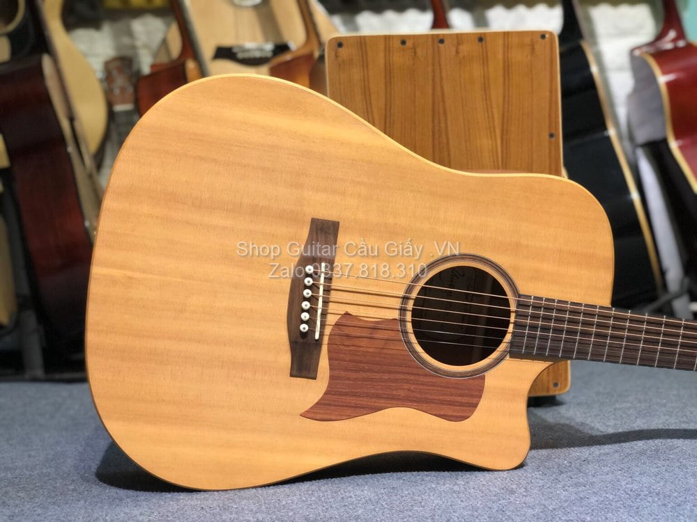 03 02 Thuan Guitar DT 01C wm