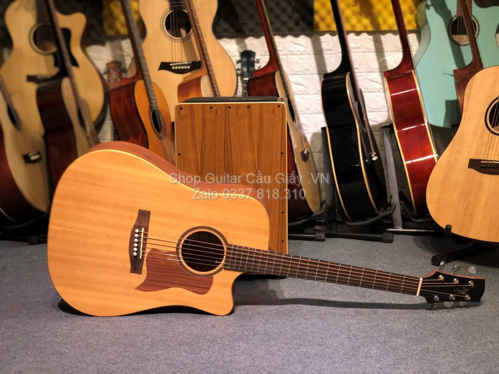 03 03 Thuan Guitar DT 01C wm