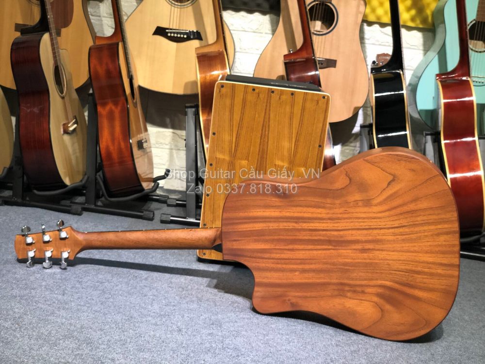 03 04 Thuan Guitar DT 01C wm