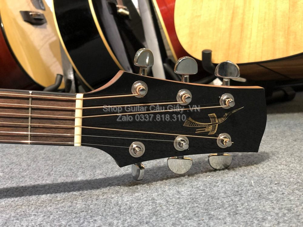 03 06 Thuan Guitar DT 01C wm