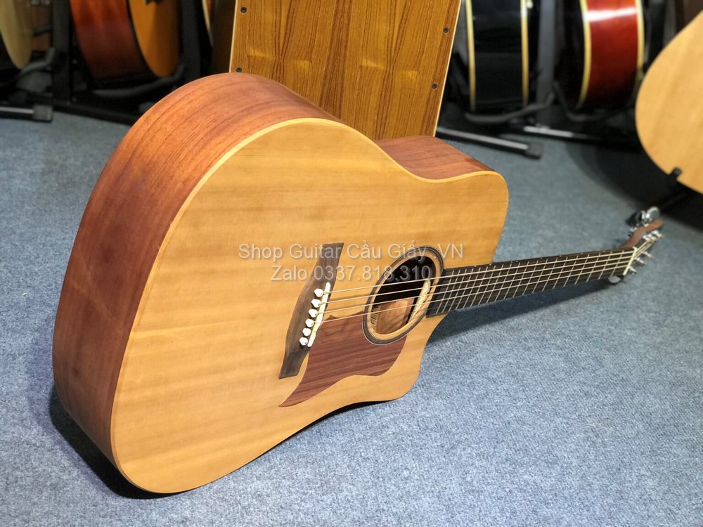 03 08 Thuan Guitar DT 01C wm