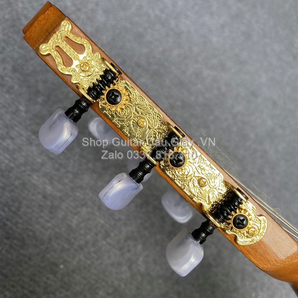 06 07 Dan Guitar Classic Tia Chop Viet C250J V wm