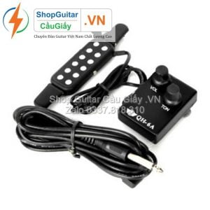 06 Pickup Guitar wm wm