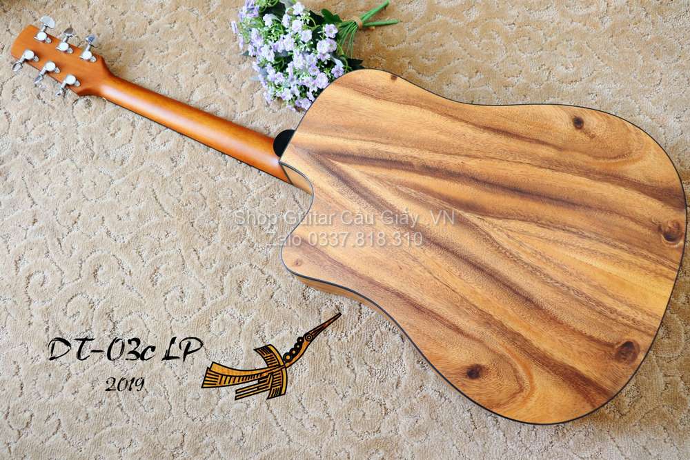 08 02 Thuan Guitar DT 03C LP 2019 wm