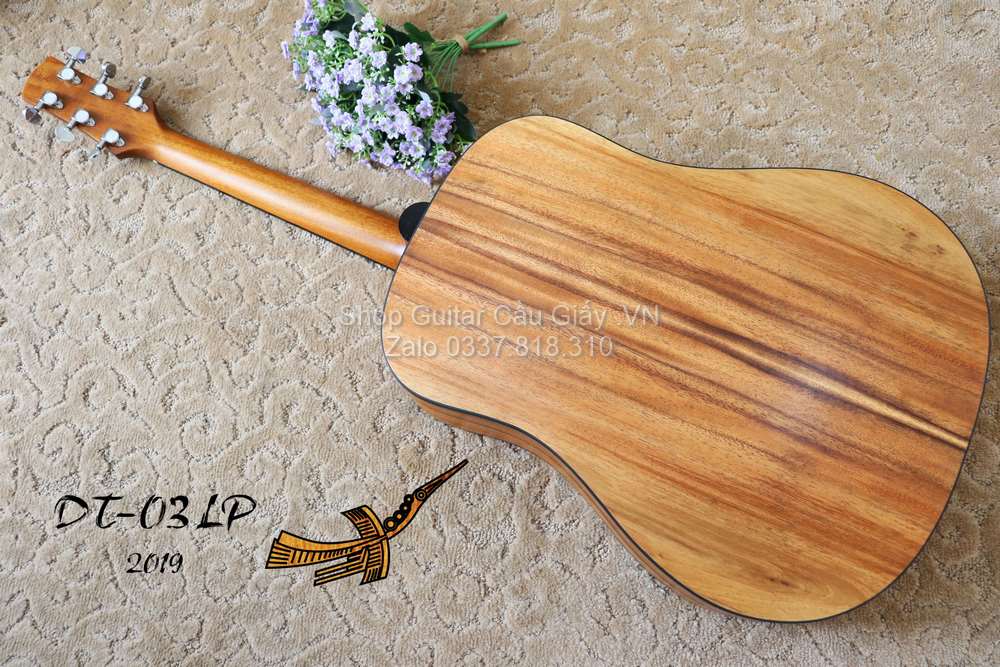 10 02 Thuan Guitar DT 03 LP wm