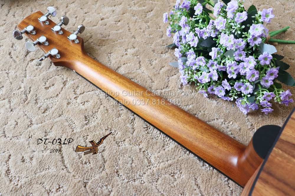 10 04 Thuan Guitar DT 03 LP wm