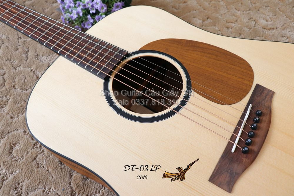 10 05 Thuan Guitar DT 03 LP wm