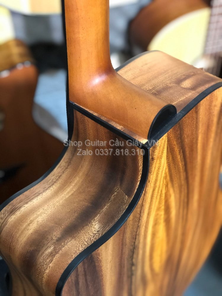 11 07 Thuan Guitar DT 03C LP wm