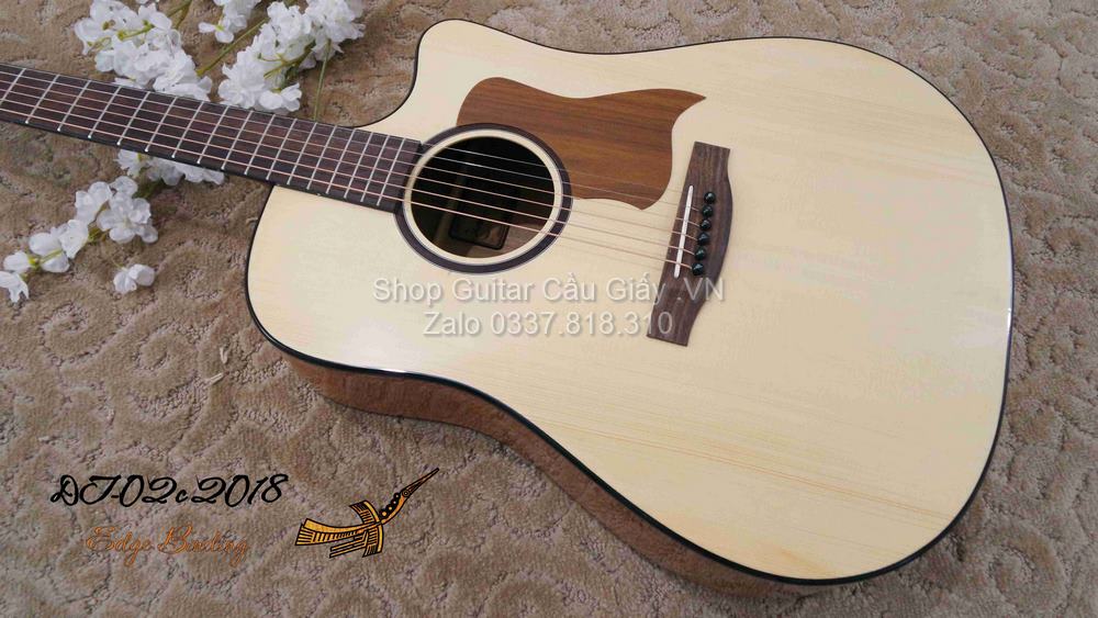 18 02 Thuan Guitar DT 02C wm