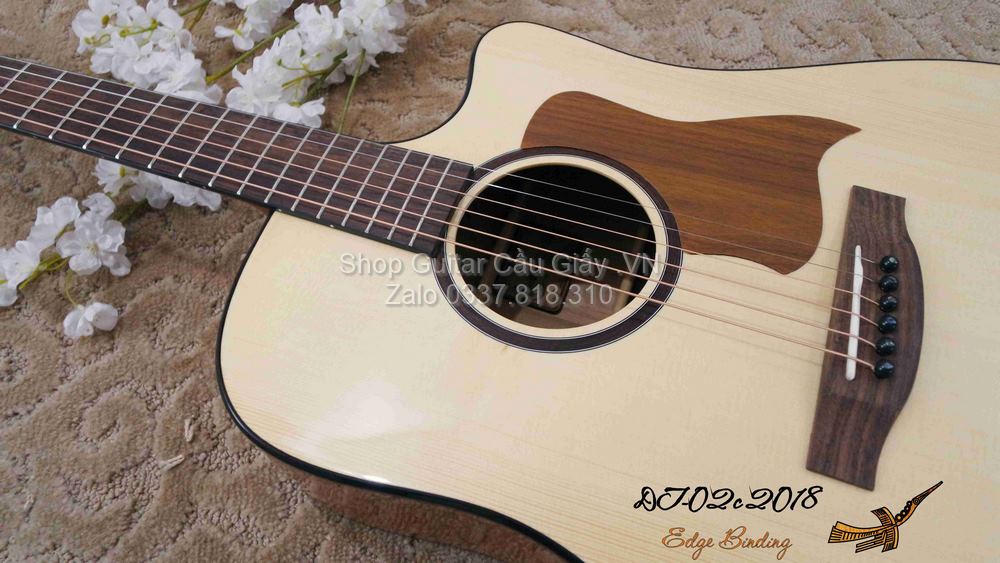 18 03 Thuan Guitar DT 02C wm
