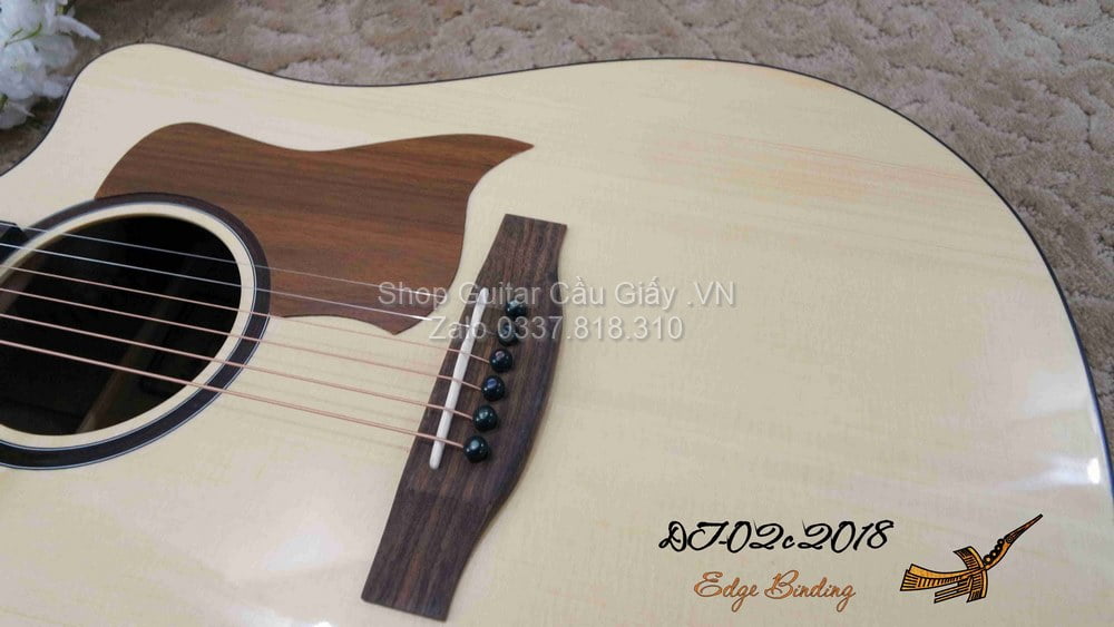 18 04 Thuan Guitar DT 02C wm