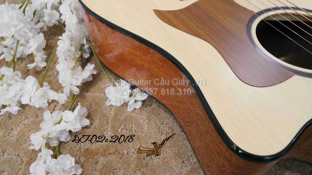 18 08 Thuan Guitar DT 02C wm