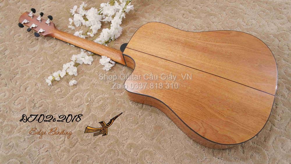 18 09 Thuan Guitar DT 02C wm