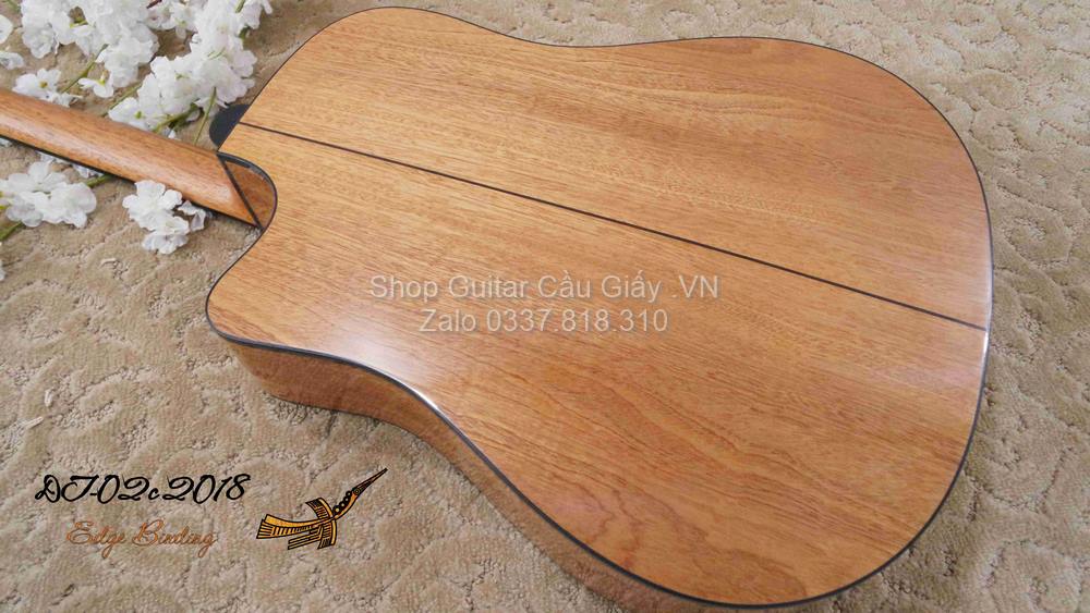 18 10 Thuan Guitar DT 02C wm