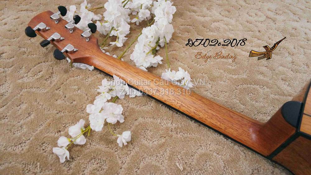 18 12 Thuan Guitar DT 02C wm