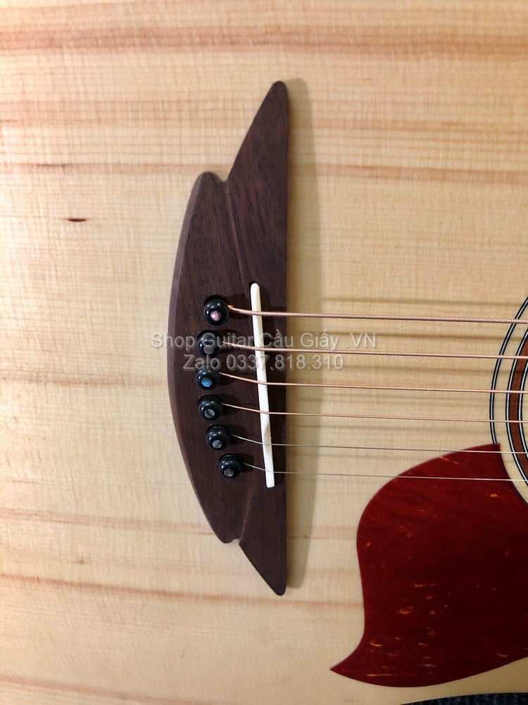 25 04 Thuan Guitar DT 02C Custom wm