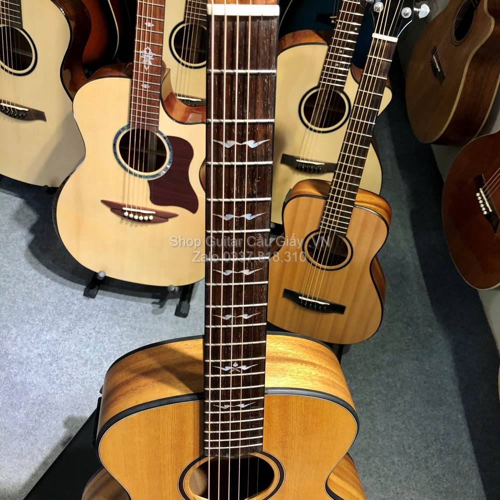 26 11 Thuan Guitar Mini 3 4 PS AT 03 TIN wm