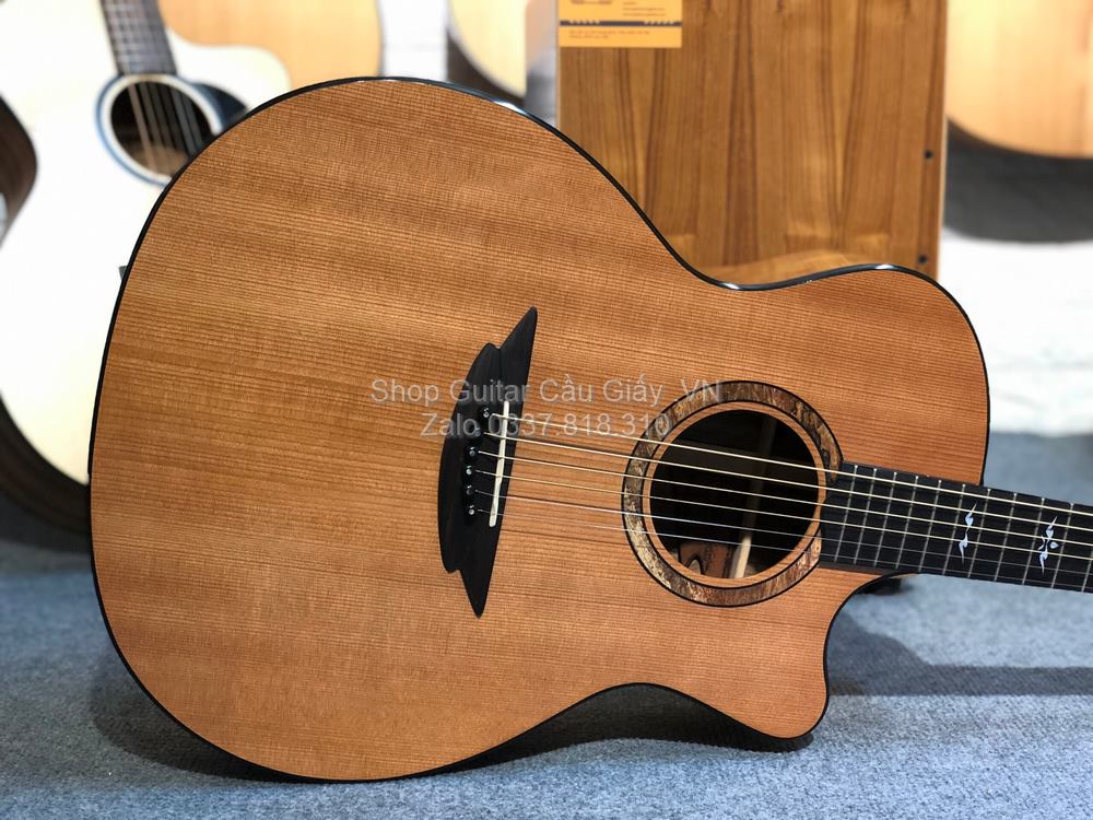 43 02 Thuan Guitar AT 06C wm