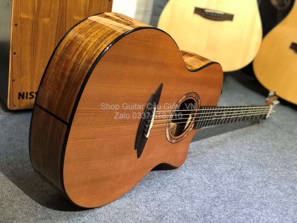 43 09 Thuan Guitar AT 06C wm
