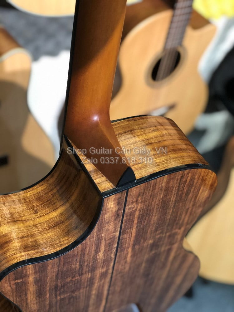 43 10 Thuan Guitar AT 06C wm