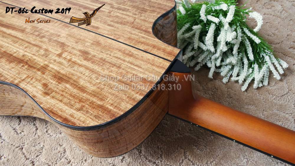 44 05 Thuan Guitar DT 06C Custom wm