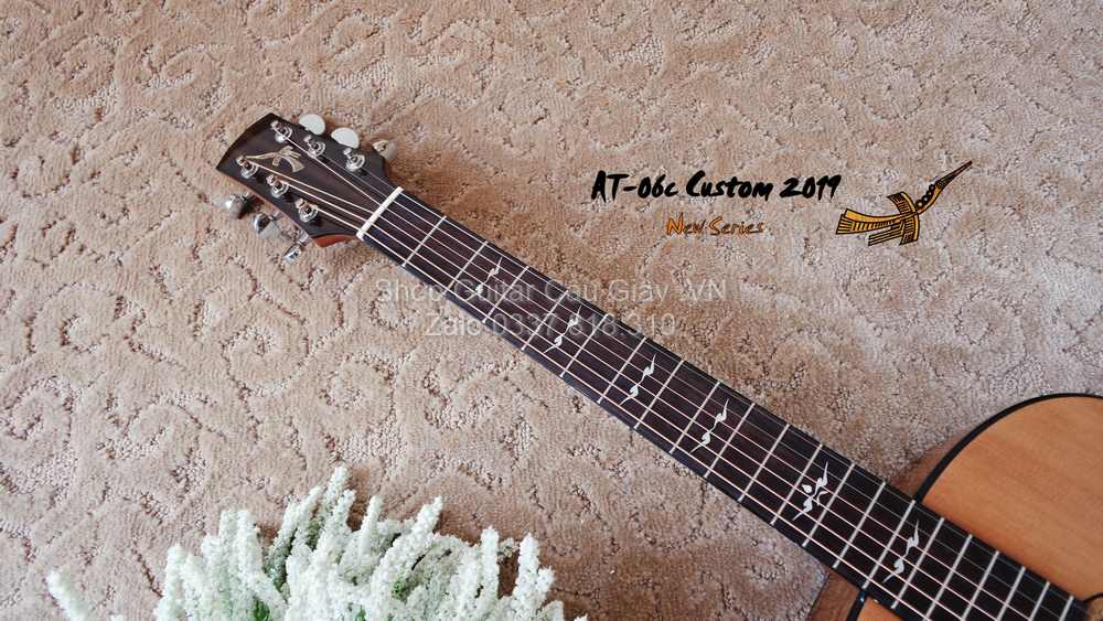 45 04 Thuan Guitar AT 06 Custom wm