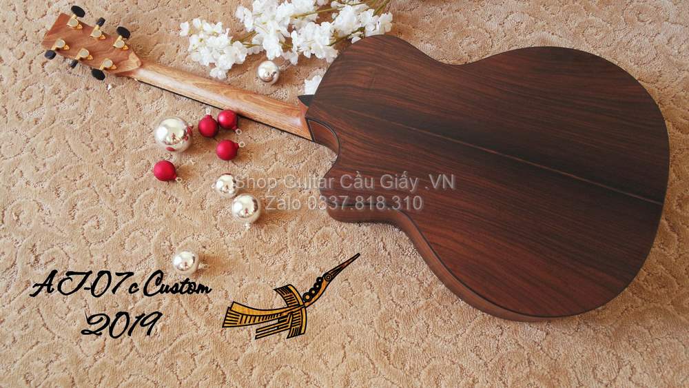 46 09 Thuan Guitar AT 07C Custom wm