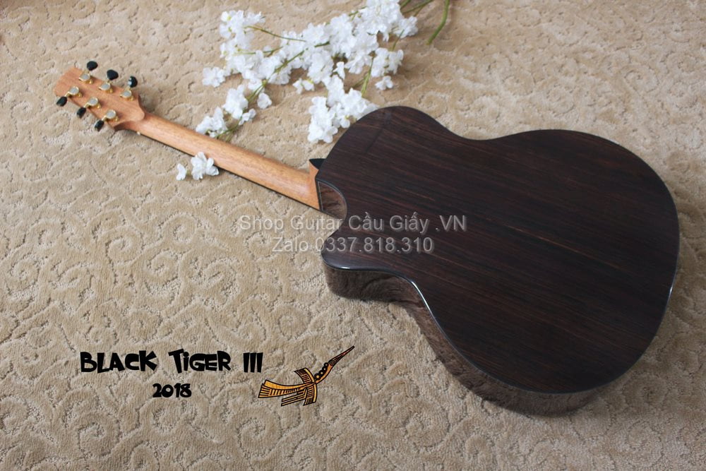 50 02 Thuan Guitar BLACK TIGER III wm