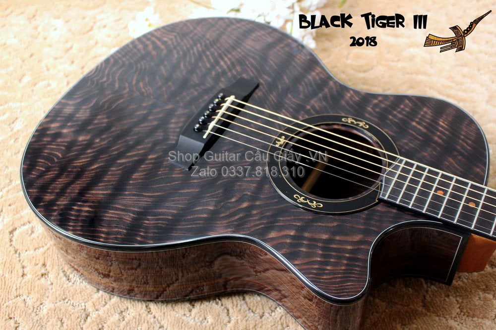 50 03 Thuan Guitar BLACK TIGER III wm