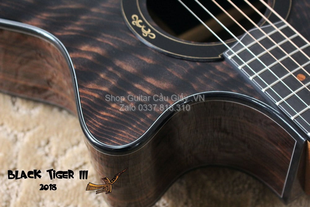 50 04 Thuan Guitar BLACK TIGER III wm
