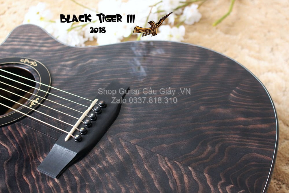 50 05 Thuan Guitar BLACK TIGER III wm