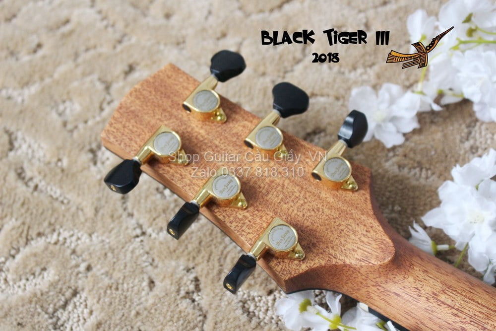 50 06 Thuan Guitar BLACK TIGER III wm