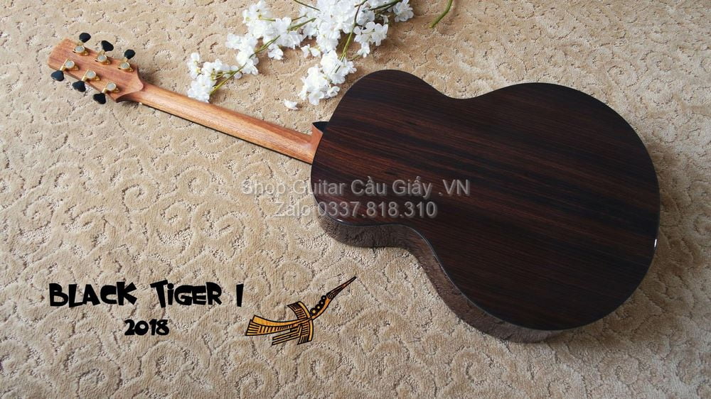 51 02 Thuan Guitar BLACK TIGER I wm