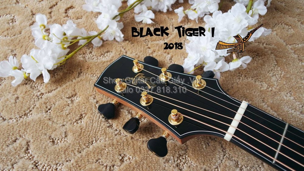 51 03 Thuan Guitar BLACK TIGER I wm