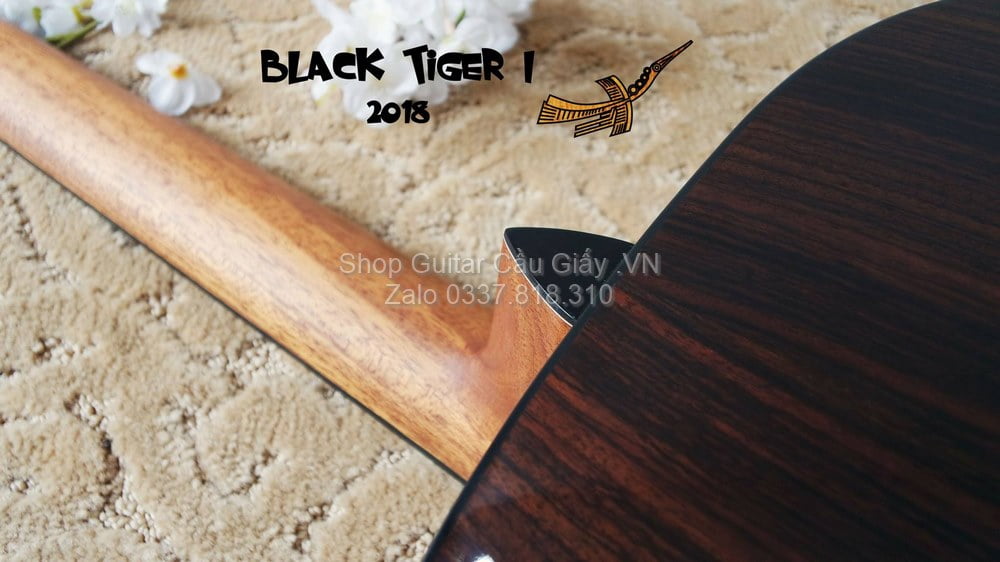 51 04 Thuan Guitar BLACK TIGER I wm