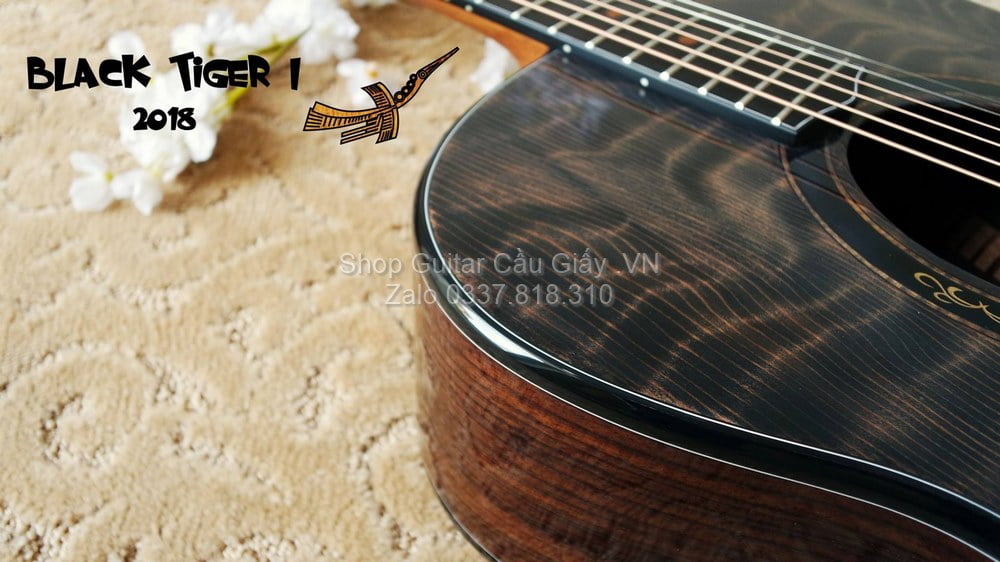 51 05 Thuan Guitar BLACK TIGER I wm
