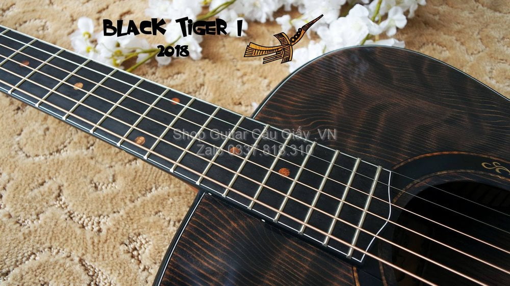 51 07 Thuan Guitar BLACK TIGER I wm