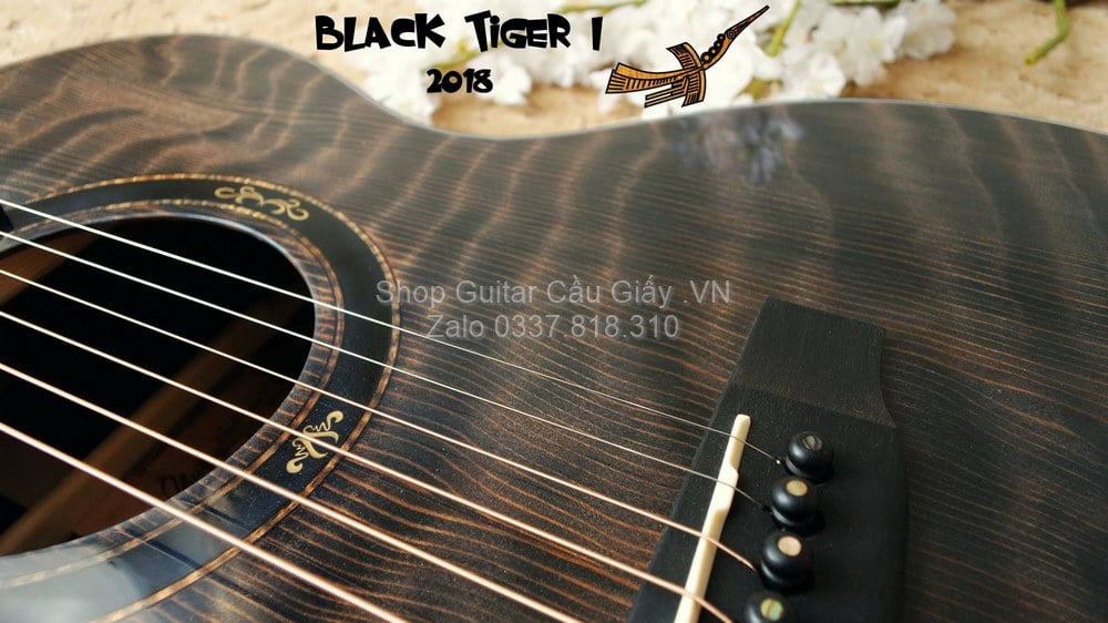 51 08 Thuan Guitar BLACK TIGER I wm