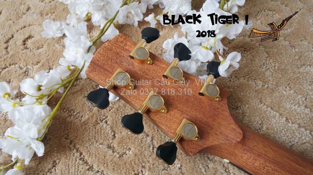 51 09 Thuan Guitar BLACK TIGER I wm