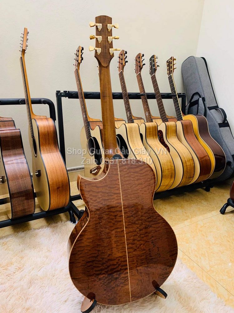 53 04 Thuan Guitar Custom PS Premium wm