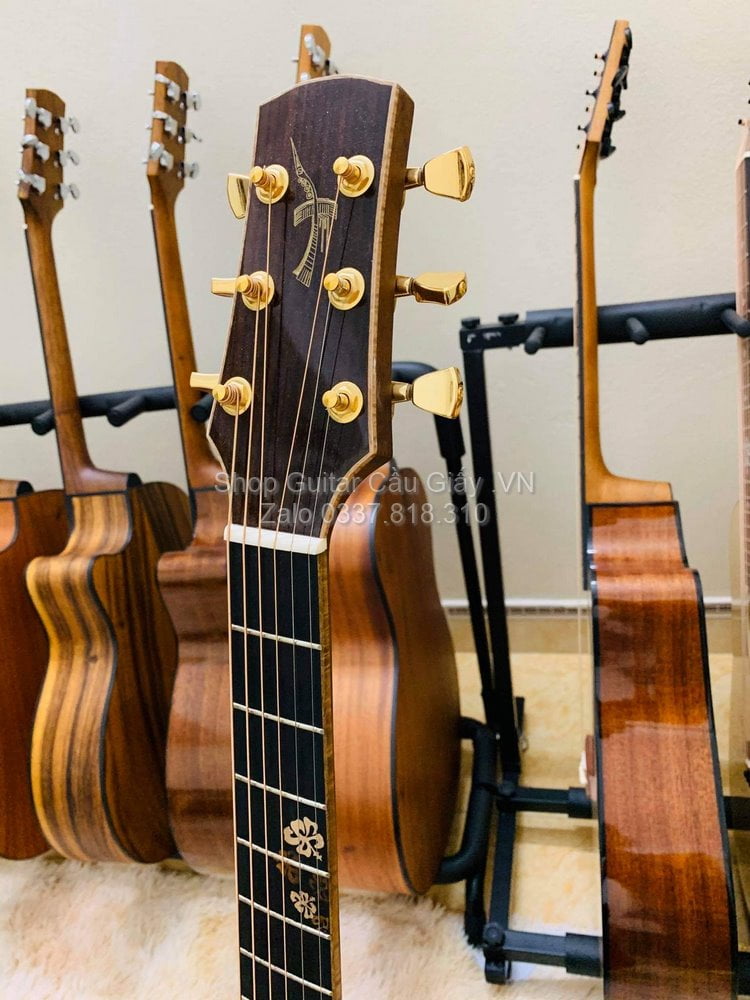 53 08 Thuan Guitar Custom PS Premium wm