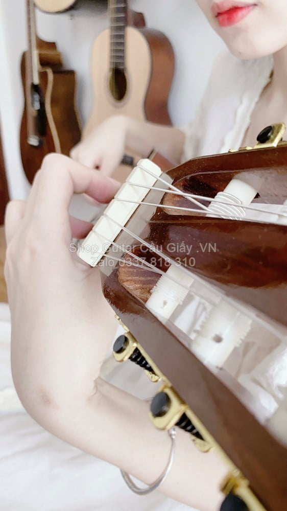 model 05 04 Dan Guitar Classic Thung Mong Tia Chop Viet C250J VM wm