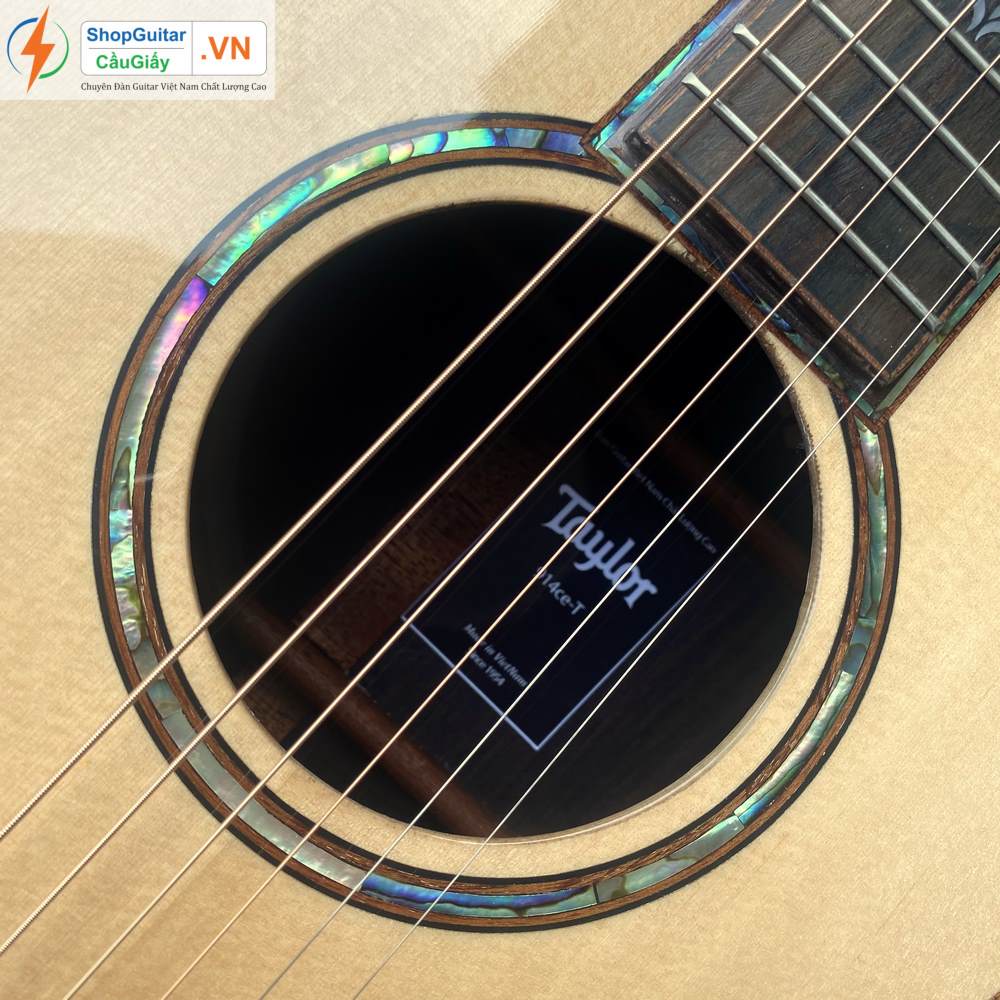 01 04 Dan Guitar Taylor 914ce vn custom rep1 1 Goku Guitar F914ce