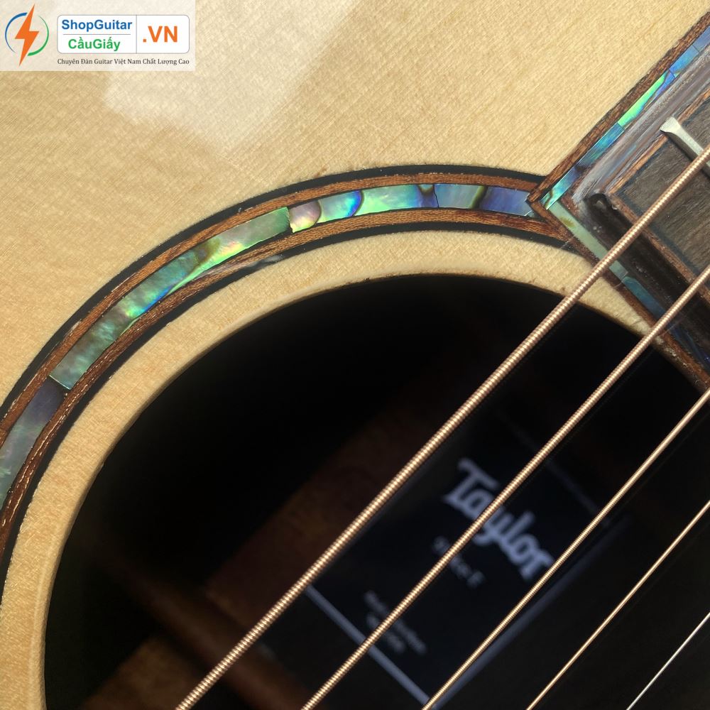 01 06 Dan Guitar Taylor 914ce vn custom rep1 1 Goku Guitar F914ce