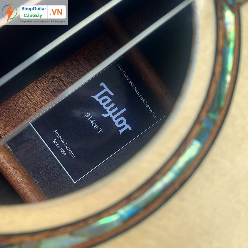 01 07 Dan Guitar Taylor 914ce vn custom rep1 1 Goku Guitar F914ce