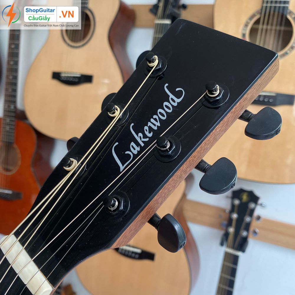 01 08 Dan Guitar Lakewood vn custom rep1 1 Goku Guitar F4L